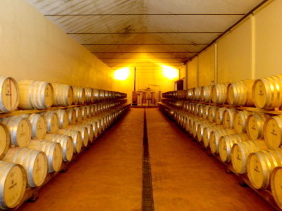 French Oak Barrel aging and storage.
